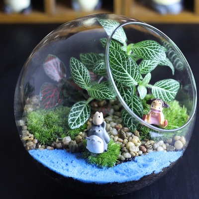 玻璃瓶绿植微景